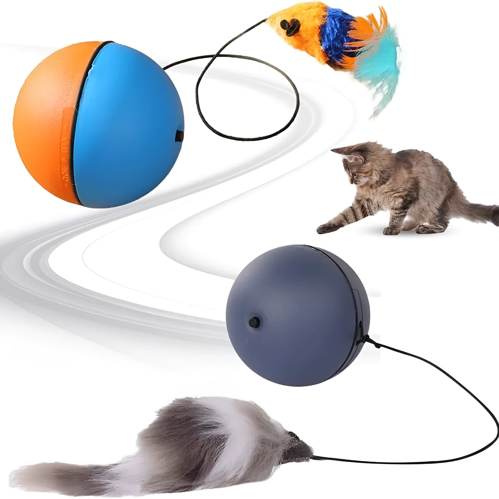 Automatic rolling interactive cat ball toy in grey and blue orange colour options