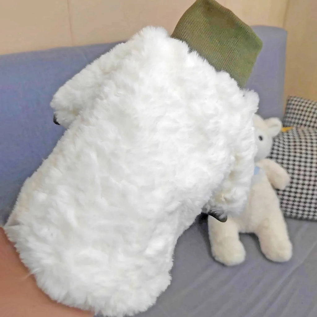 Creamy green plush turtleneck dog coat on a small dog, showing thick padding and high collar.