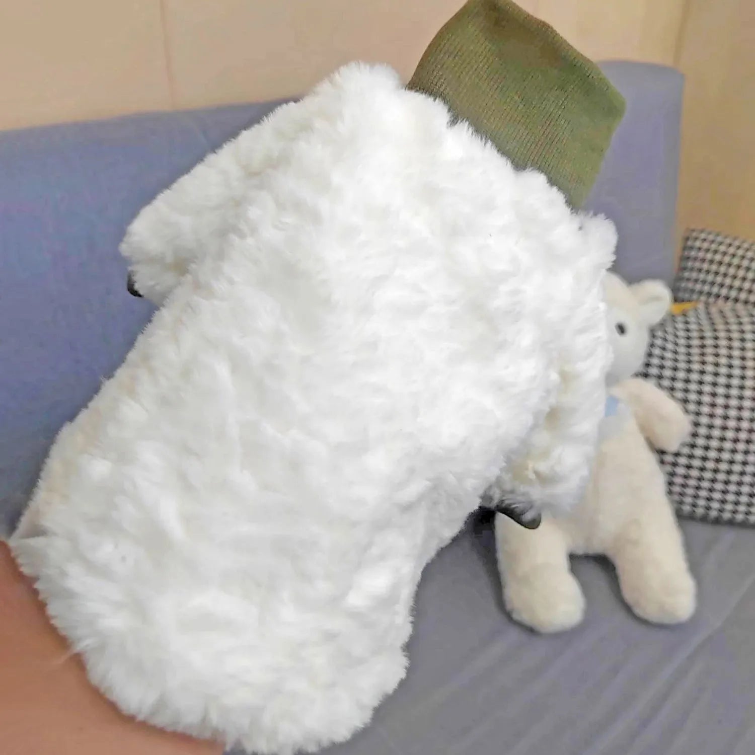 Creamy green plush turtleneck dog coat on a small dog, showing thick padding and high collar.