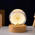 Dandelion crystal ball night light on beech wood stand with USB cable