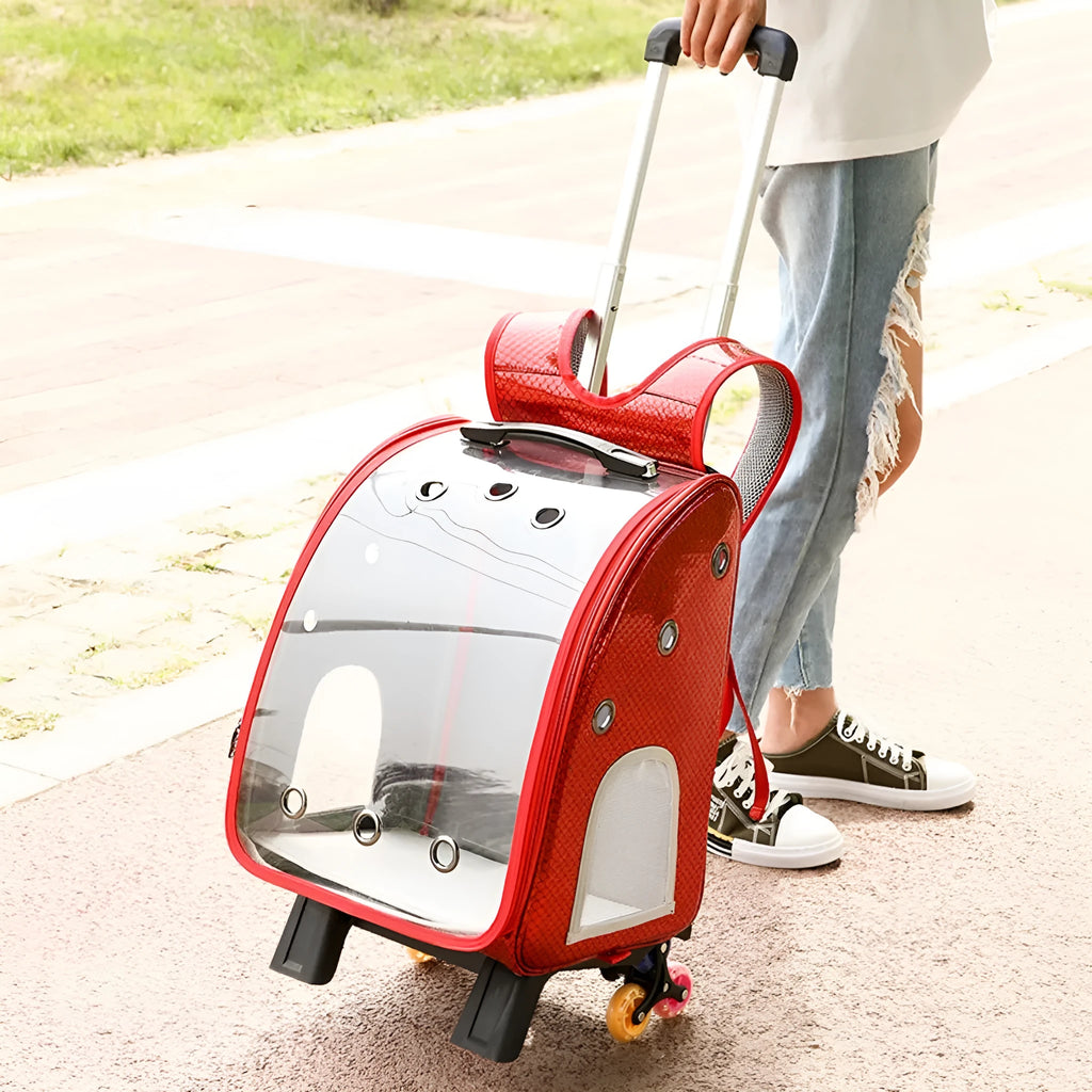 Blue transparent pet trolley bag with shoulder strap for carrying a small dog