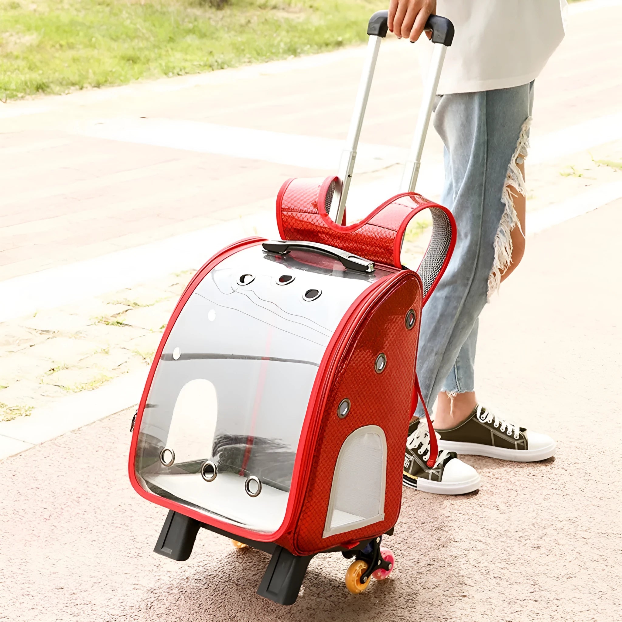 Blue transparent pet trolley bag with shoulder strap for carrying a small dog