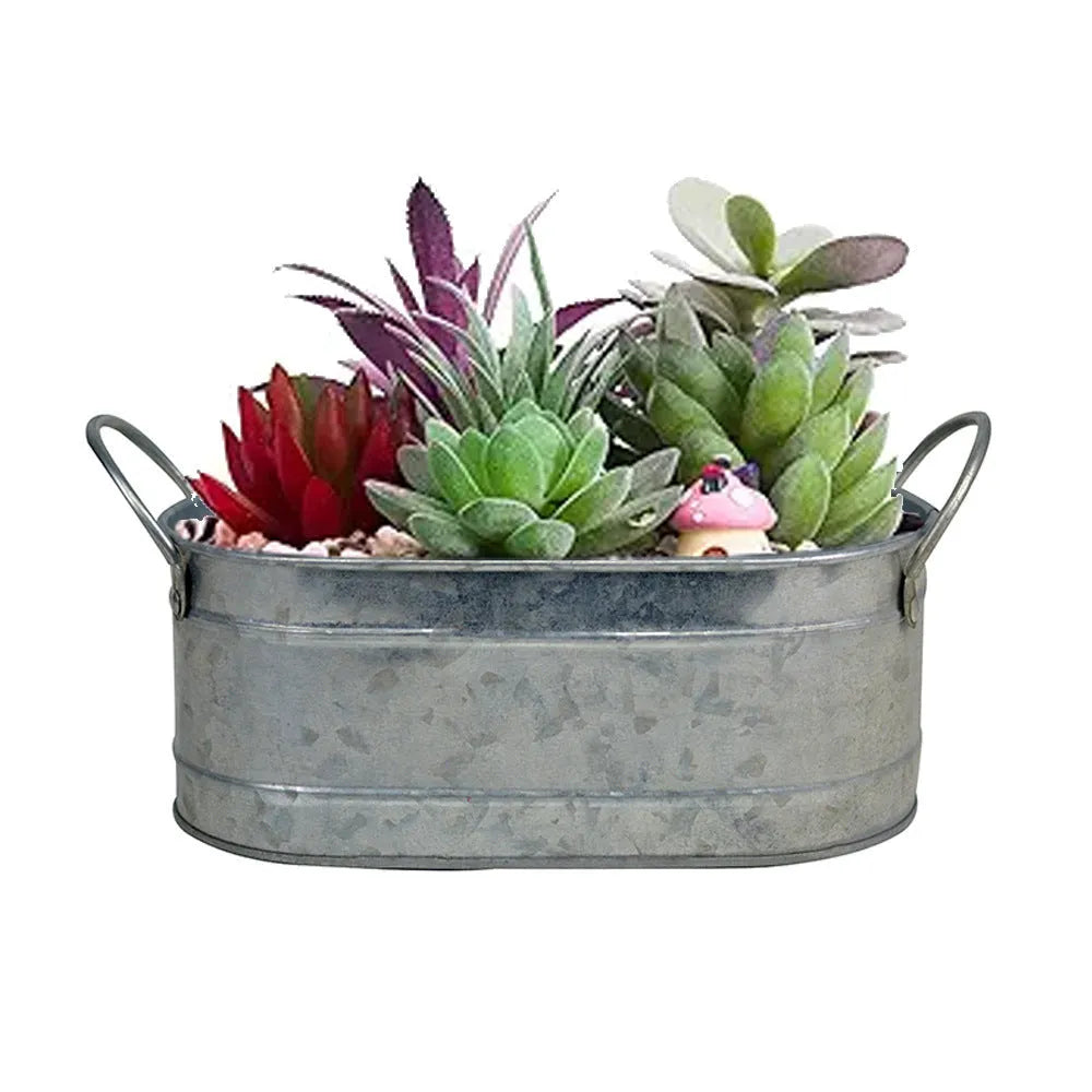 Iron sheet succulent flowerpot for desktop display with corrosion-resistant finish