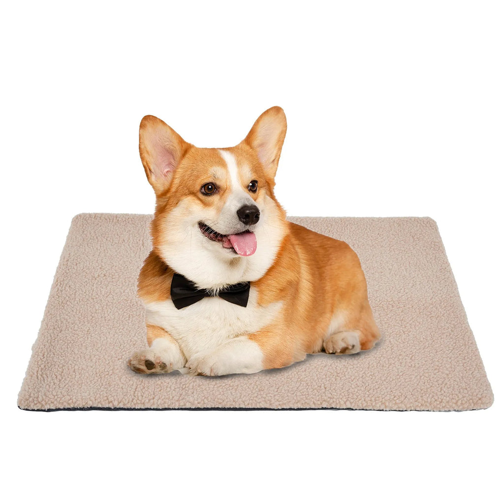 Self-heating plush pet pad for cats available in three colours and two sizes