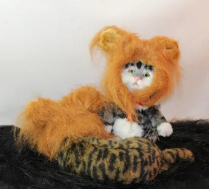 Small dog wearing a funny lion mane pet hat in brown colour, showing ears and head cap