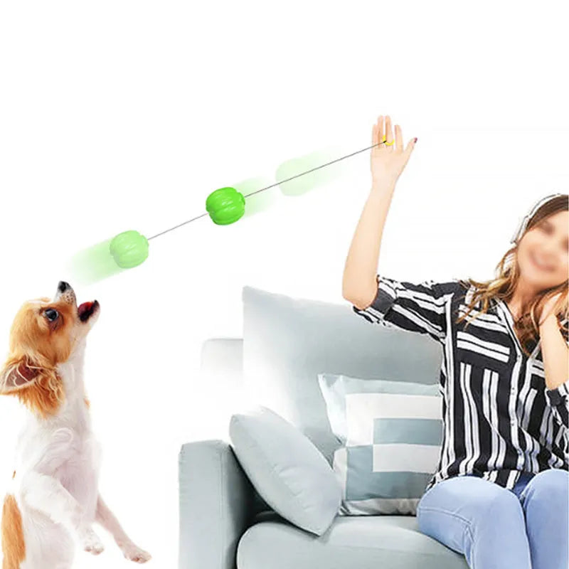 Small green plastic dog ball with pumpkin design for chew toy and training