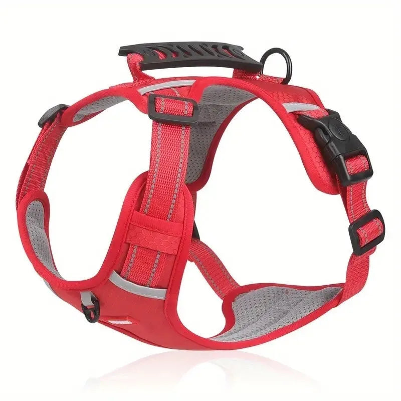 A dog wearing a blue adjustable chest harness with an attached lead, shown in a size large.