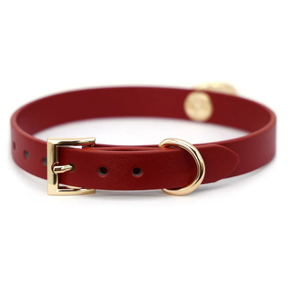 Leather dog training collar with drag chain in black and red colour options