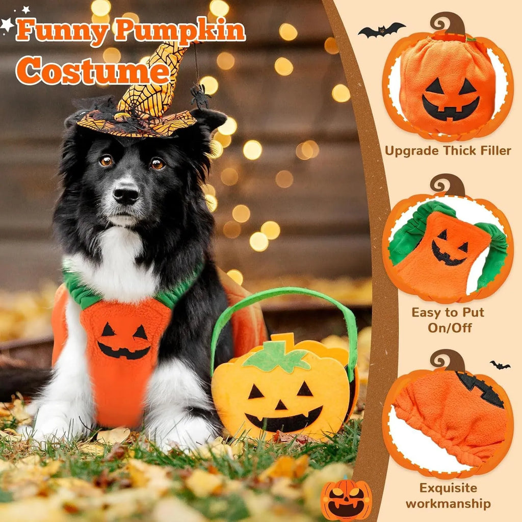 Orange plush pumpkin Halloween costume for a small dog, showing pullover design and soft texture.