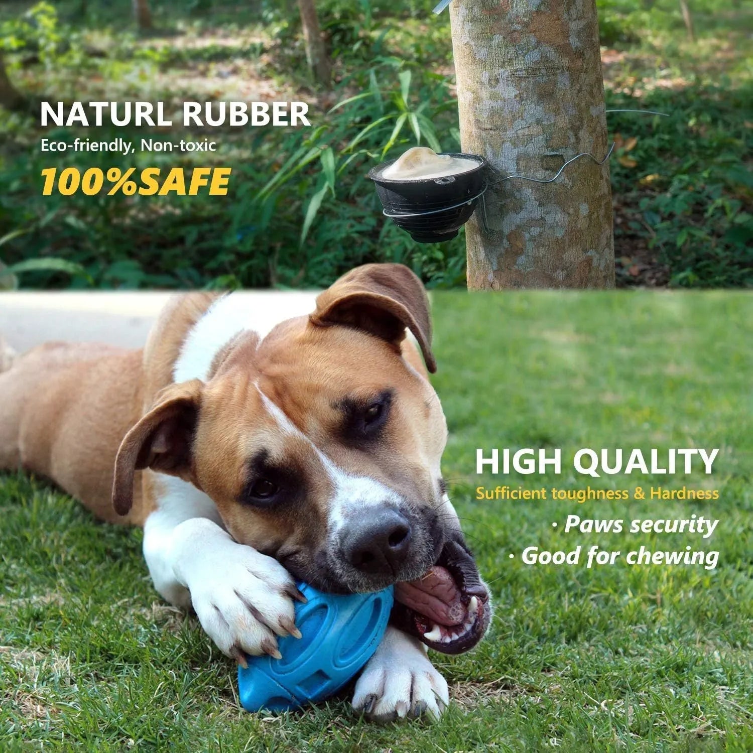 Durable natural rubber squeaky chew ball dog toy with surface grooves for medium and large breeds