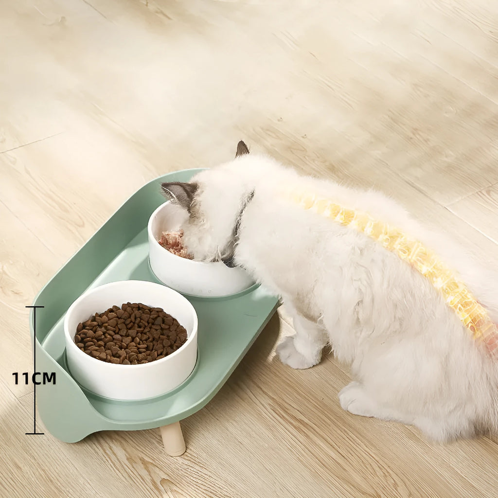 Green adjustable tilted double pet bowl for cats and dogs, showing separate food and water compartments.