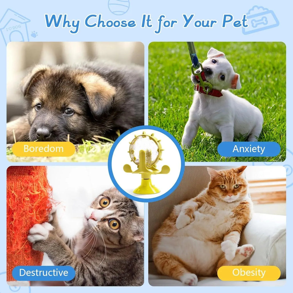Interactive pet puzzle feeder toy with rotating spinner in blue, green, red or yellow colours