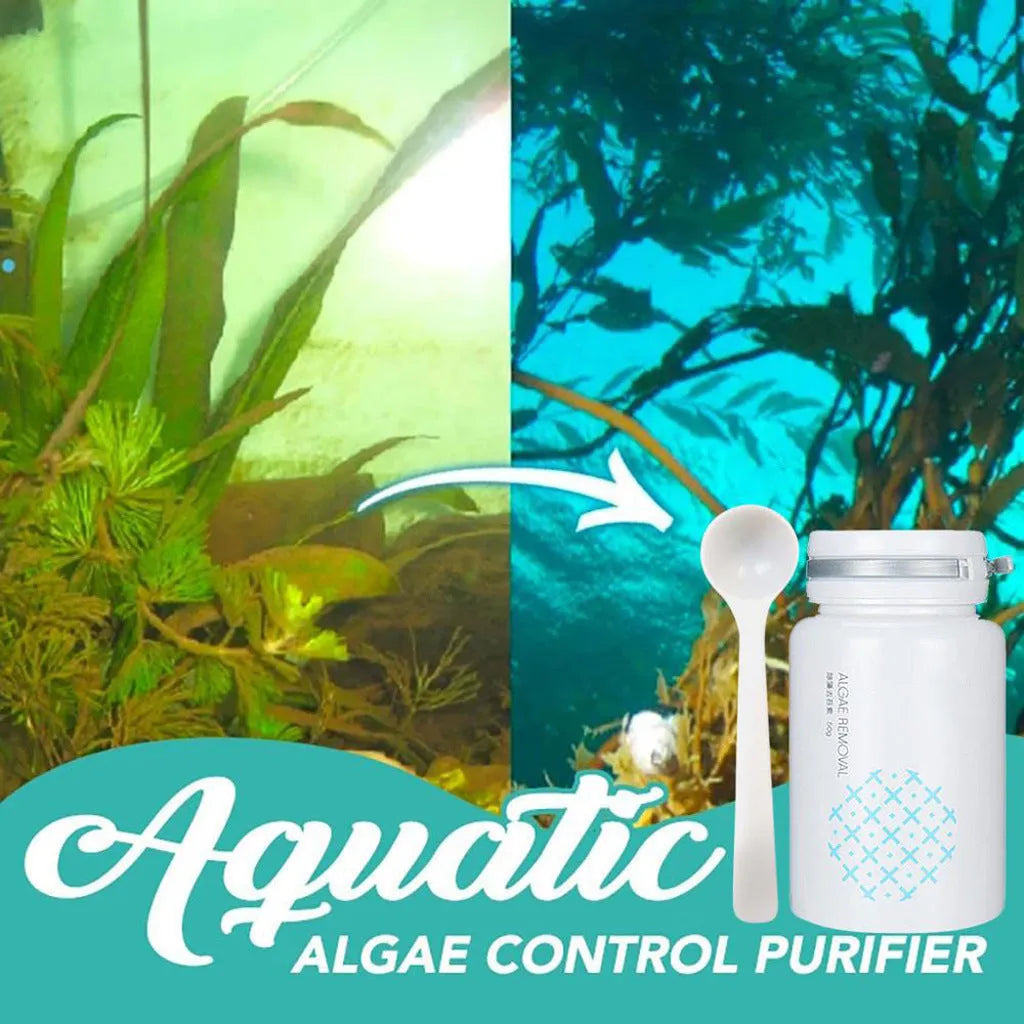 50g swimming pool algaecide for algae removal and moss control in freshwater aquariums