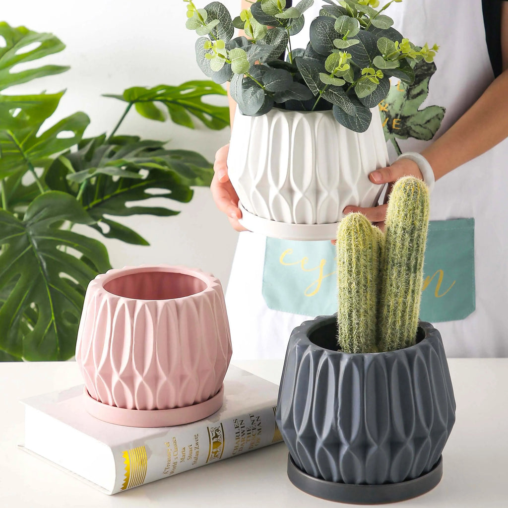 Grey ceramic desktop flowerpot for indoor plants on tabletop