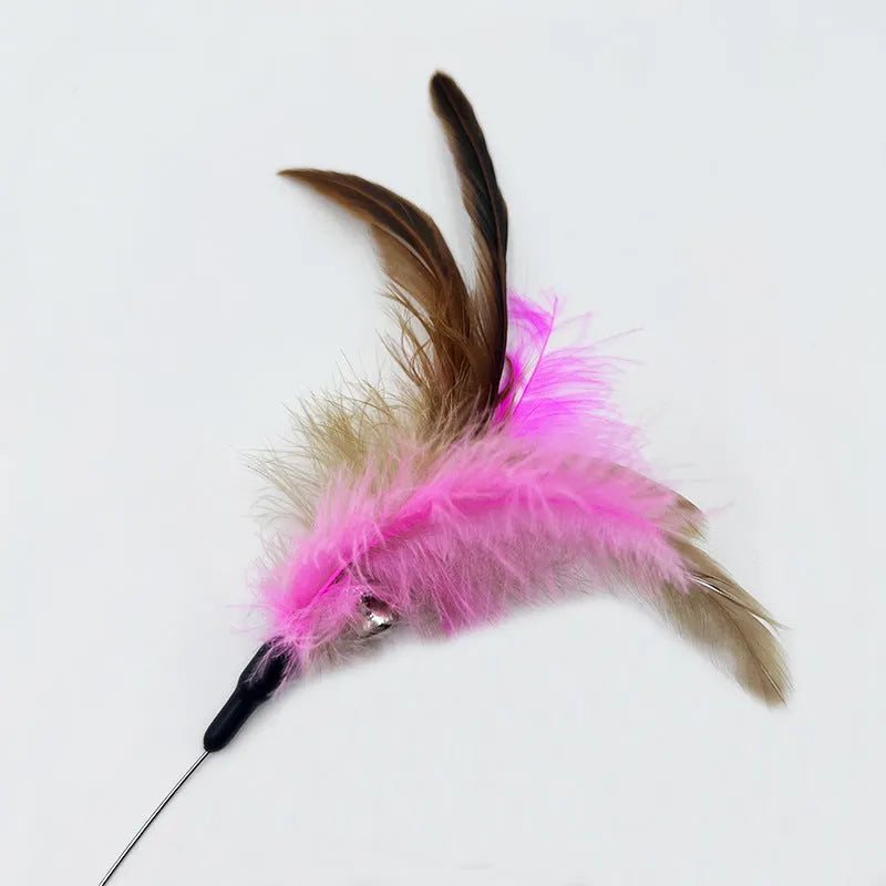 Adjustable collar cat teaser toy with feather and bell attachment in blue or pink colour options