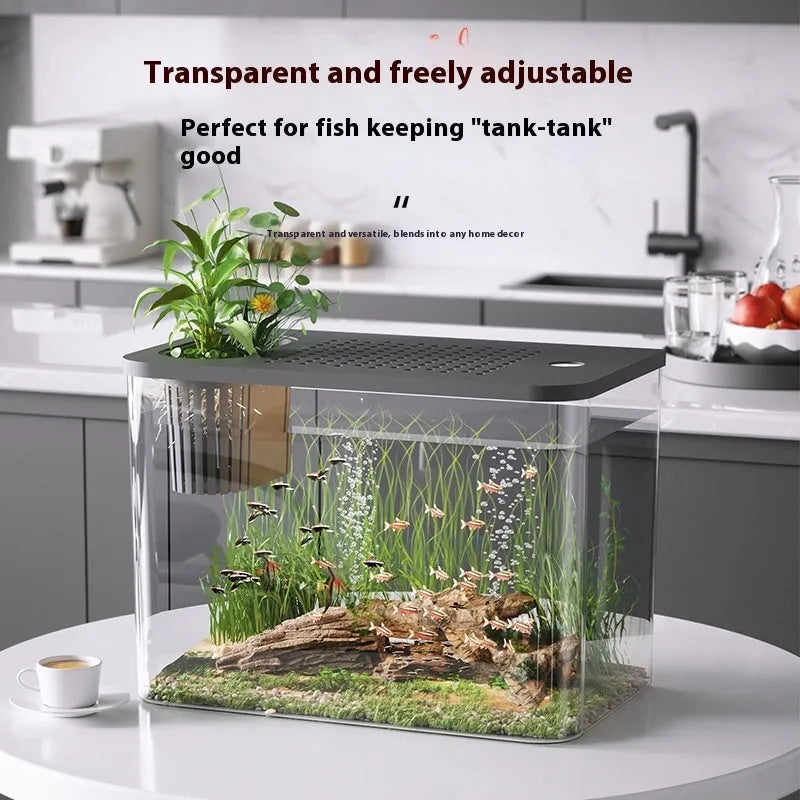 A black rectangular plastic fish tank with a clear plastic cover, sitting on a table.