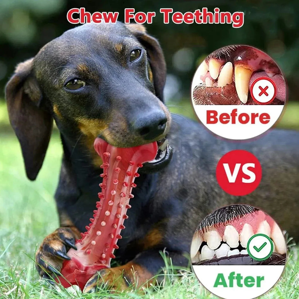 Red natural rubber chew toy for aggressive dogs measuring 4 inches in length