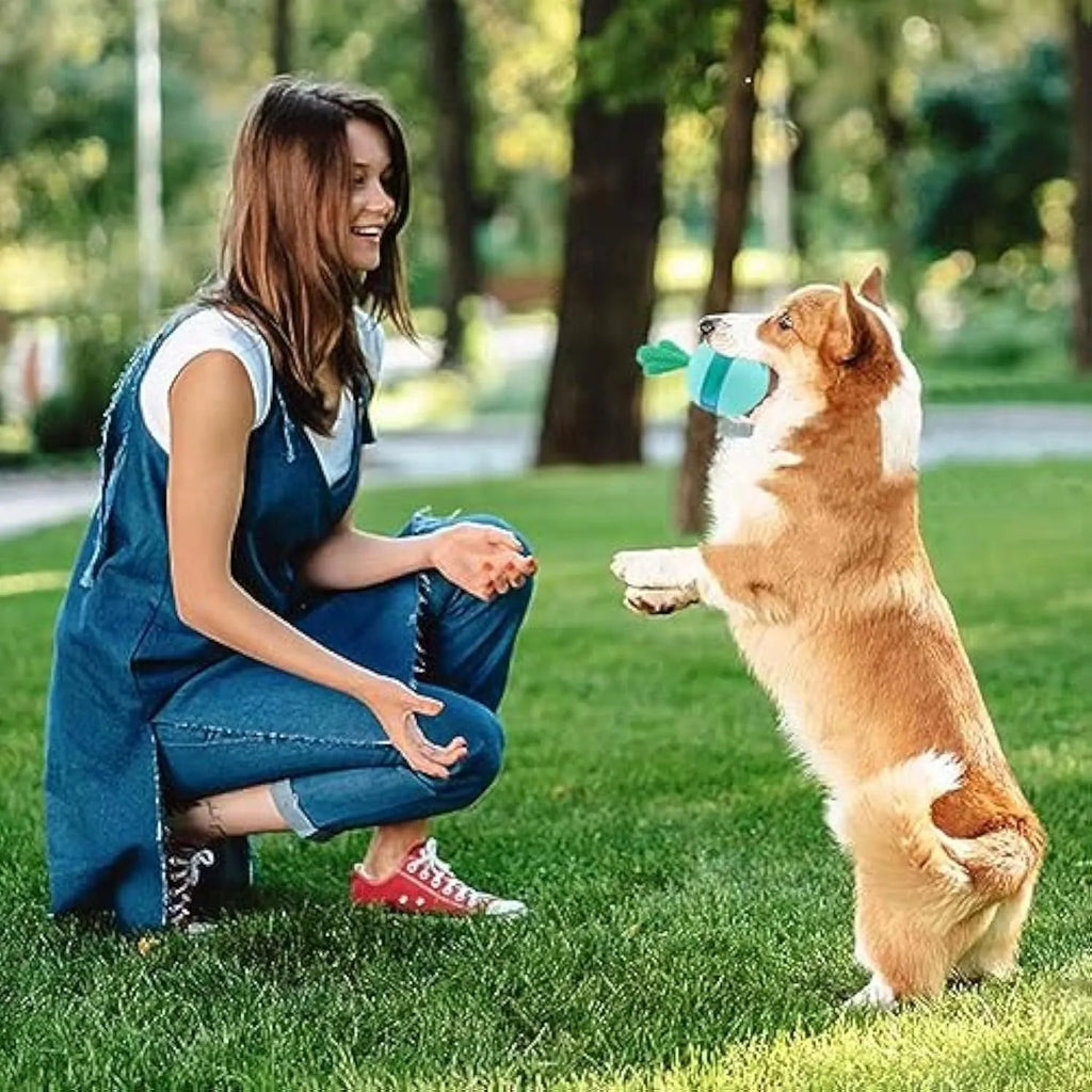 Blue durable rubber dog treat dispensing ball with tumbler design for interactive play
