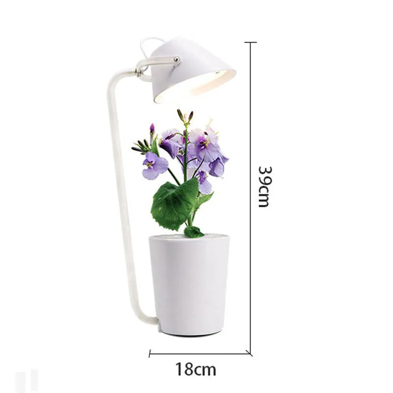 White desktop hydroponic container for soilless plant cultivation