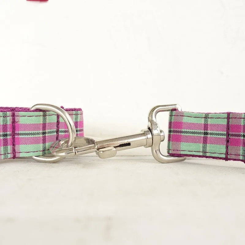 Mint green polyester dog collar and leash combination set shown in five available sizes