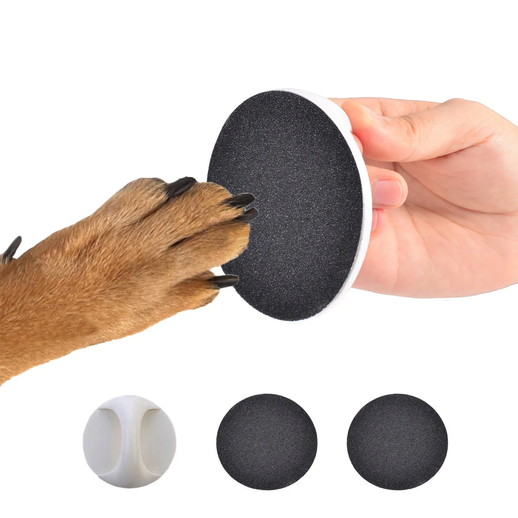 A square dog nail scratch board with an ergonomic handle, shown in blue with a replaceable sandpaper surface.
