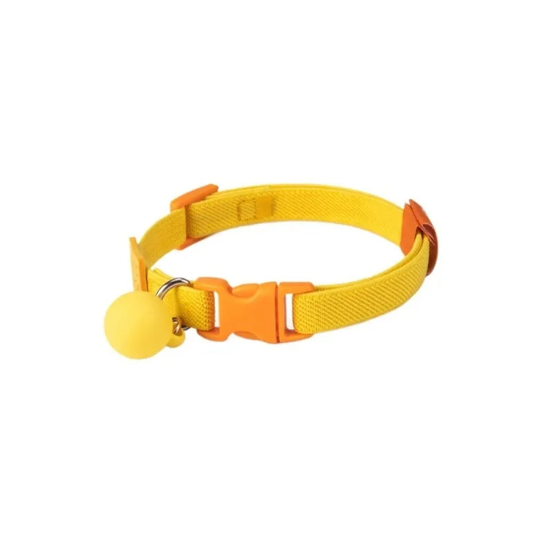 Small dog wearing a stretchy yellow polyester elastic pet collar.
