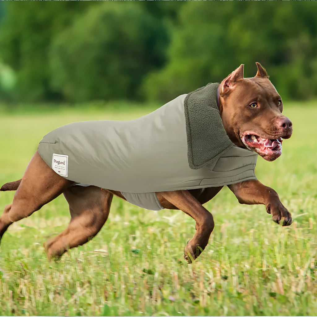 A dog wearing a solid colour cotton-padded vest with a turtleneck and lapel design.