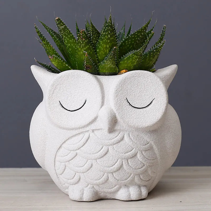 Ceramic succulent flower pot with frosted cartoon owl design measuring 11cm high by 9cm wide