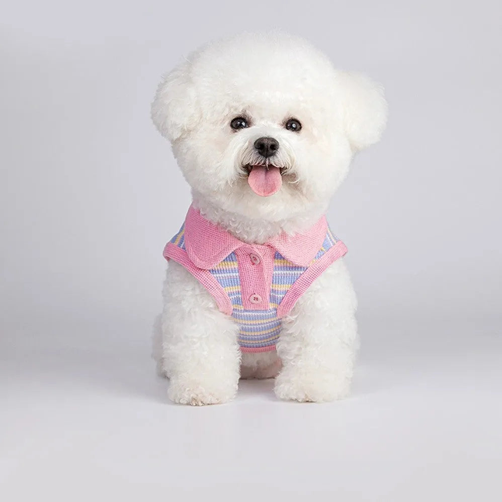Pink purple vest for a small dog or cat, showing the autumn pet clothing on a mannequin.