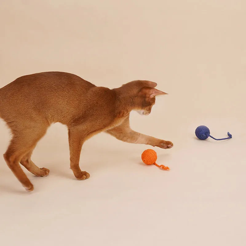 Cat toy set with blue teaser stick and multicoloured catnip ball on white background