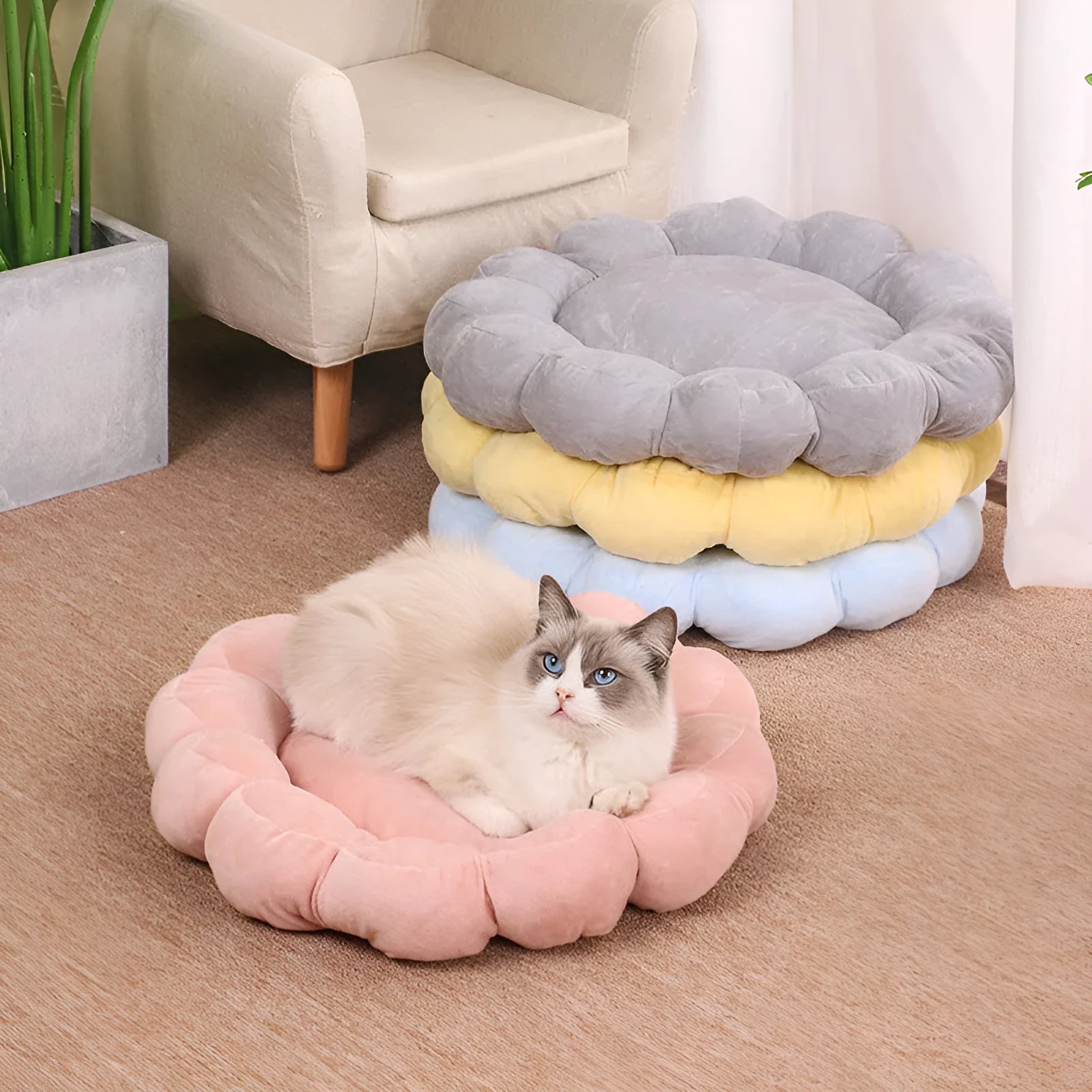 50cm square half-surrounded pet bed with plush fabric in multiple colour options