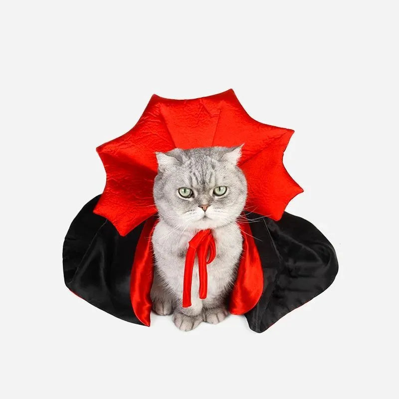 Small dog wearing black vampire cloak Halloween costume with three size options displayed