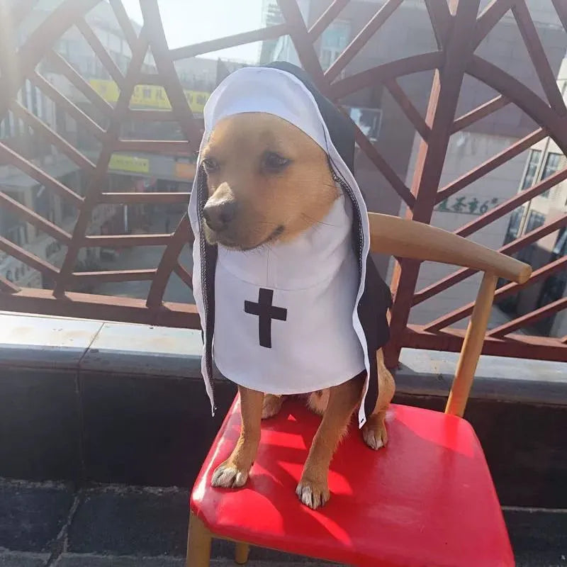 Black and white nun costume for small or medium dog with cloak design
