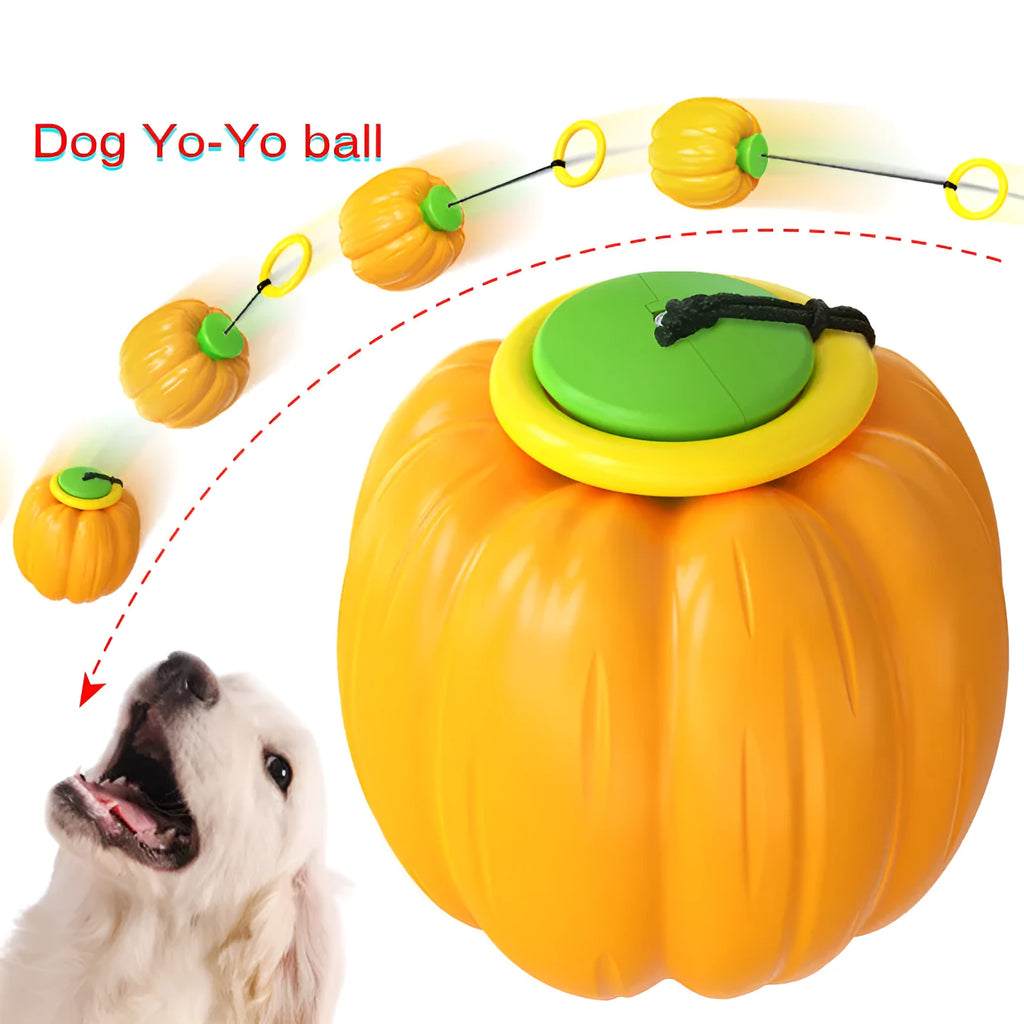Small green plastic dog ball with pumpkin design for chew toy and training