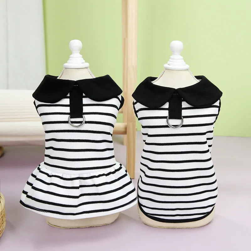 Pet wearing striped cotton T-shirt and skirt summer outfit in casual style