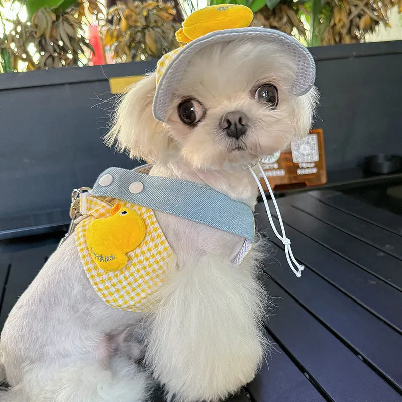 Cat wearing striped mesh harness with leash attached, showing quick-release buckle and adjustable straps