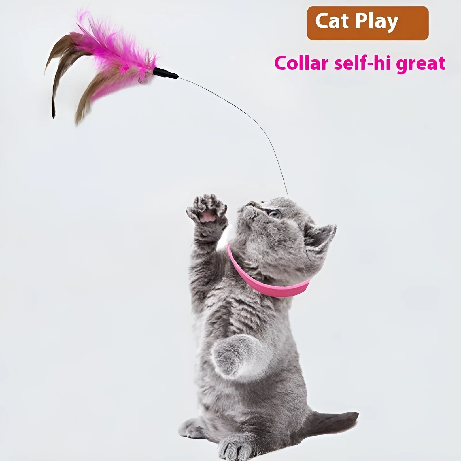 Adjustable collar cat teaser toy with feather and bell attachment in blue or pink colour options