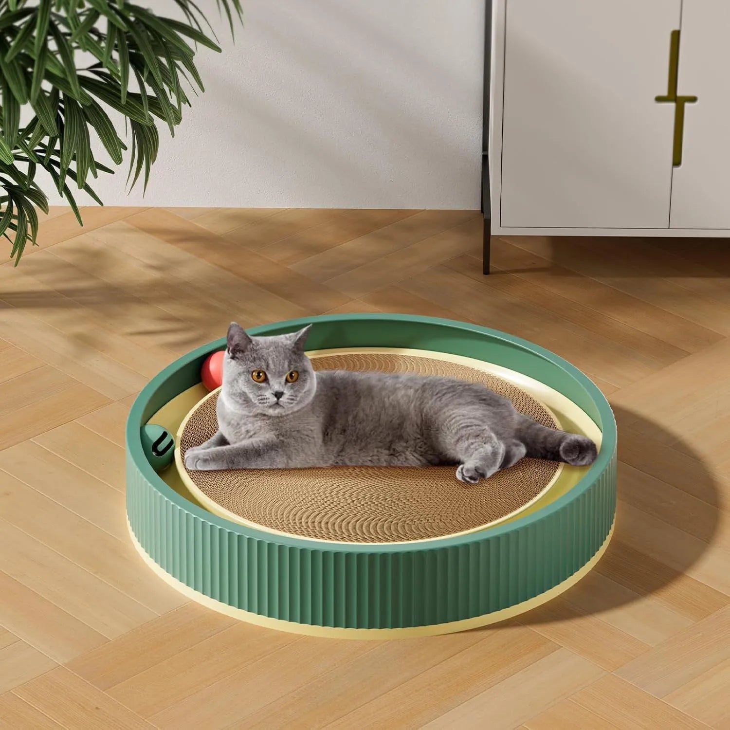 Large circular cat scratching board with ball toys and replaceable cardboard core