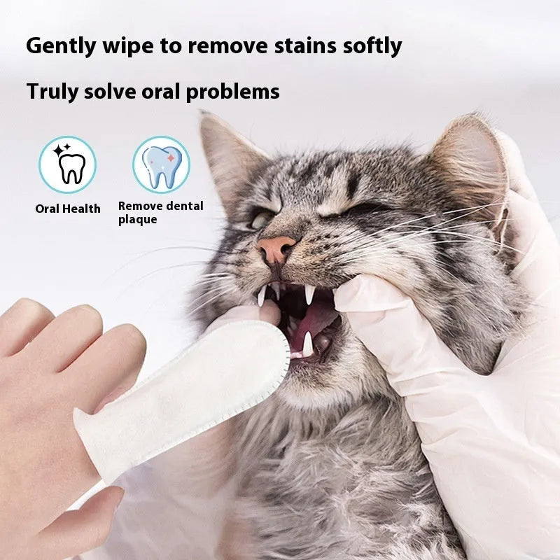 Pack of 50 disposable non-woven fabric finger cots for cleaning cat and dog teeth.