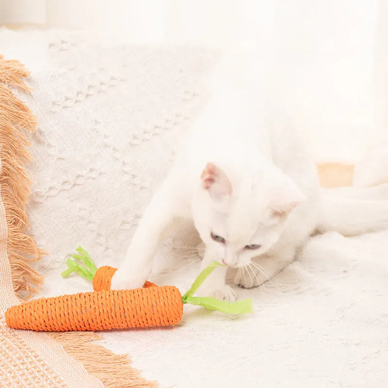 Cat toys set with carrot-shaped paper toys, ringing stones, dental sticks, and interactive elements in two size options