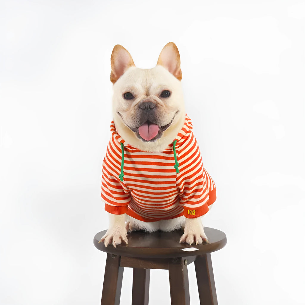 Orange cotton hooded dog sweater on a mannequin, showing Japanese Korean style.