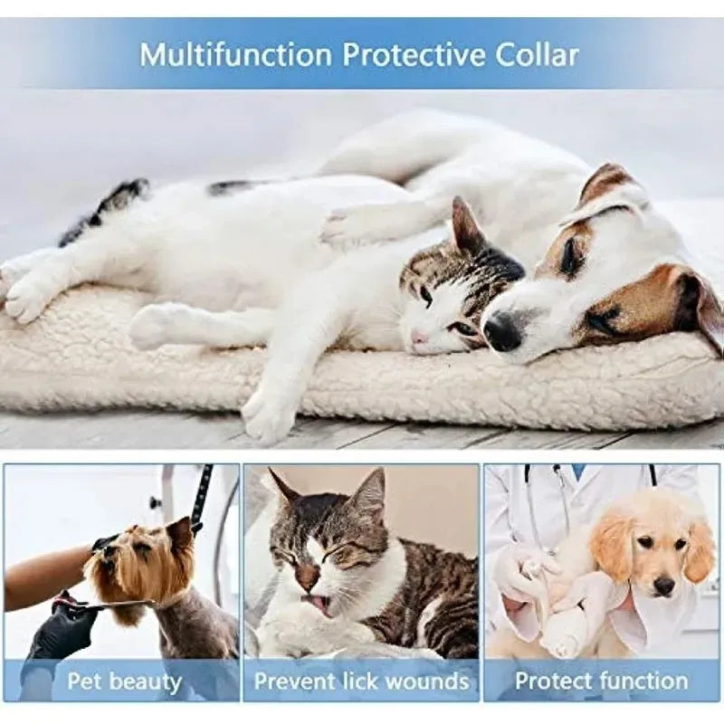 Blue inflatable pet recovery collar shown beside size chart with five measurement options
