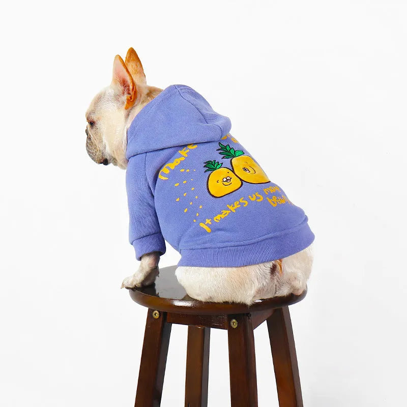 Blue and purple cartoon printed cotton pet hoodie for dogs and cats in winter