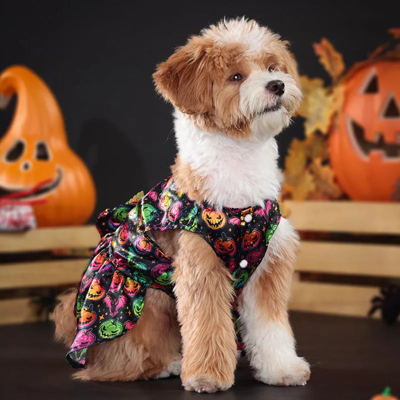 Halloween dog costume with angel wings in bright pumpkin or bat pattern for pet dress-up