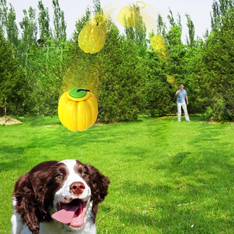 Small green plastic dog ball with pumpkin design for chew toy and training