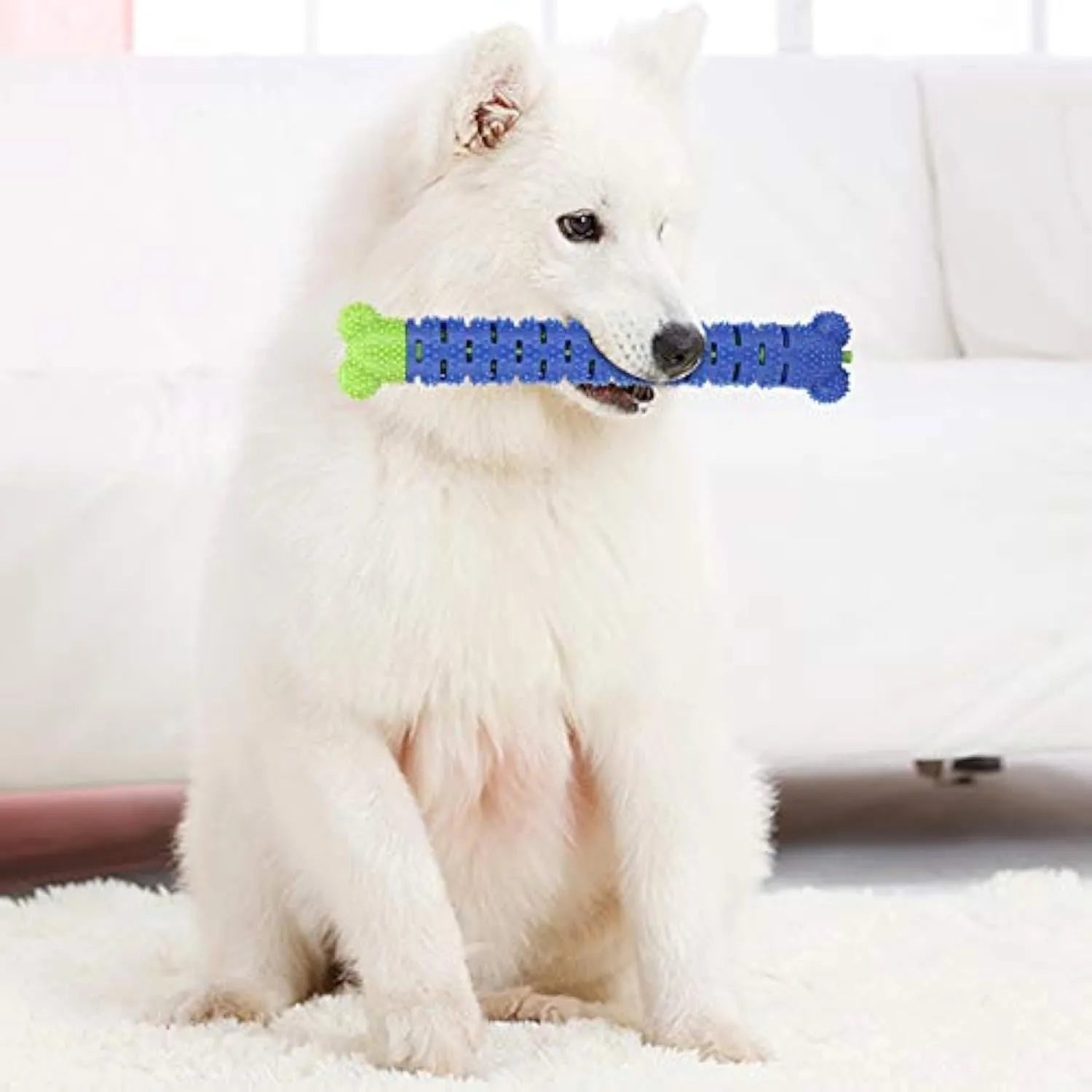 Blue green dog dental cleaning toy stick measuring 25 cm with silicone brush core and massage nodules