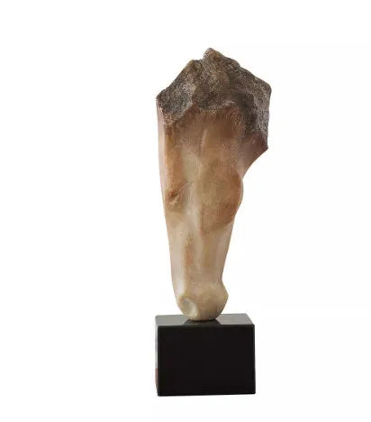 Abstract French retro style horse head desktop sculpture with a carved surface finish.