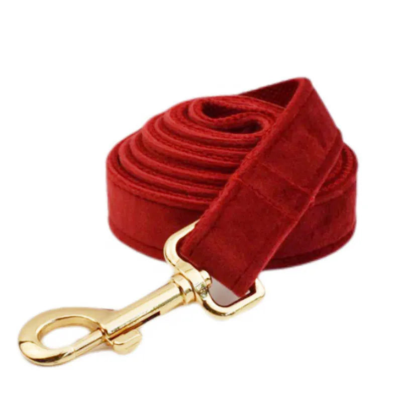 Cloth dog collar, matching leash, vest, bow tie, and poop bag holder set laid out flat.