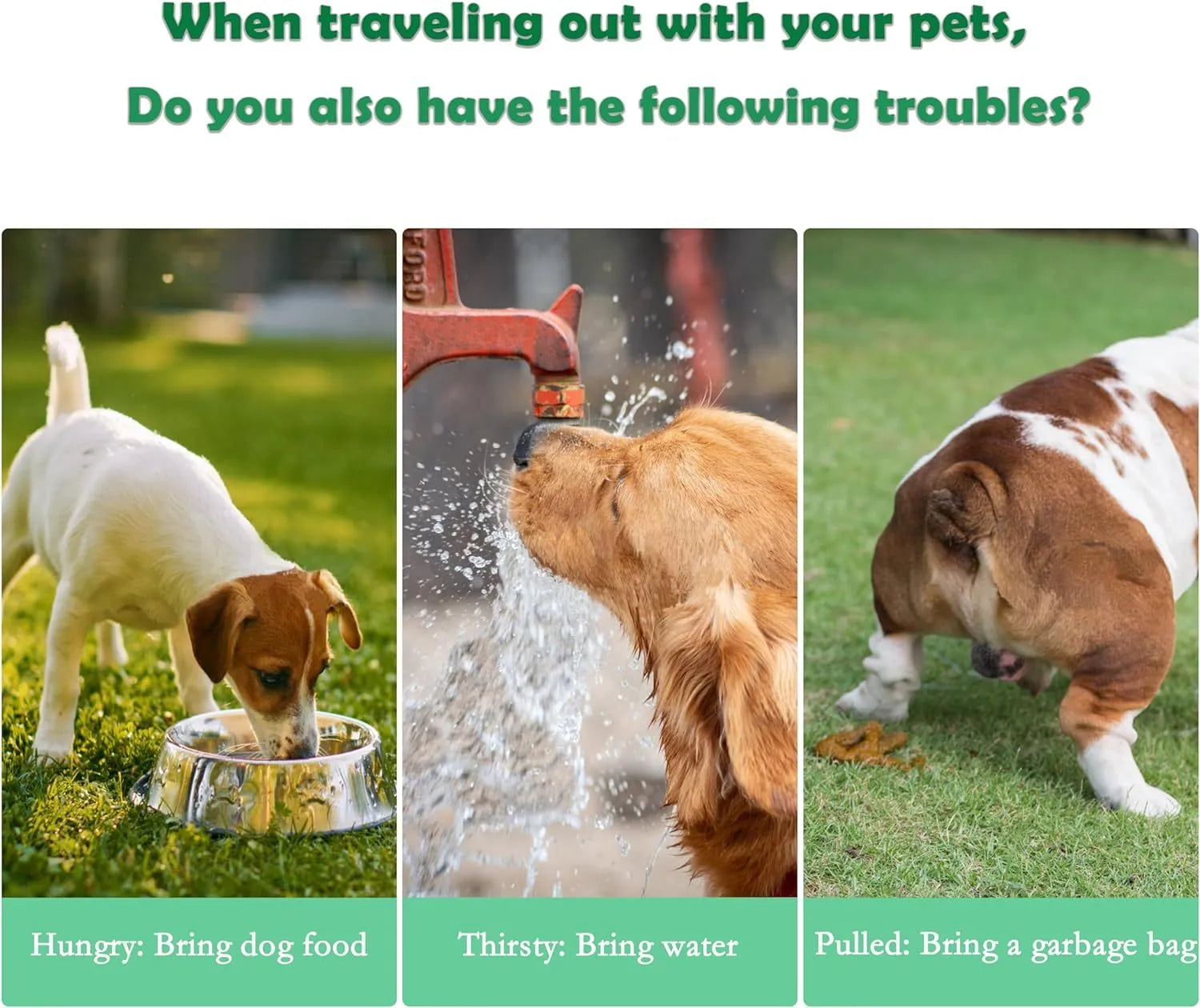 Green 3 in 1 portable pet water bottle with food container and waste bag dispenser
