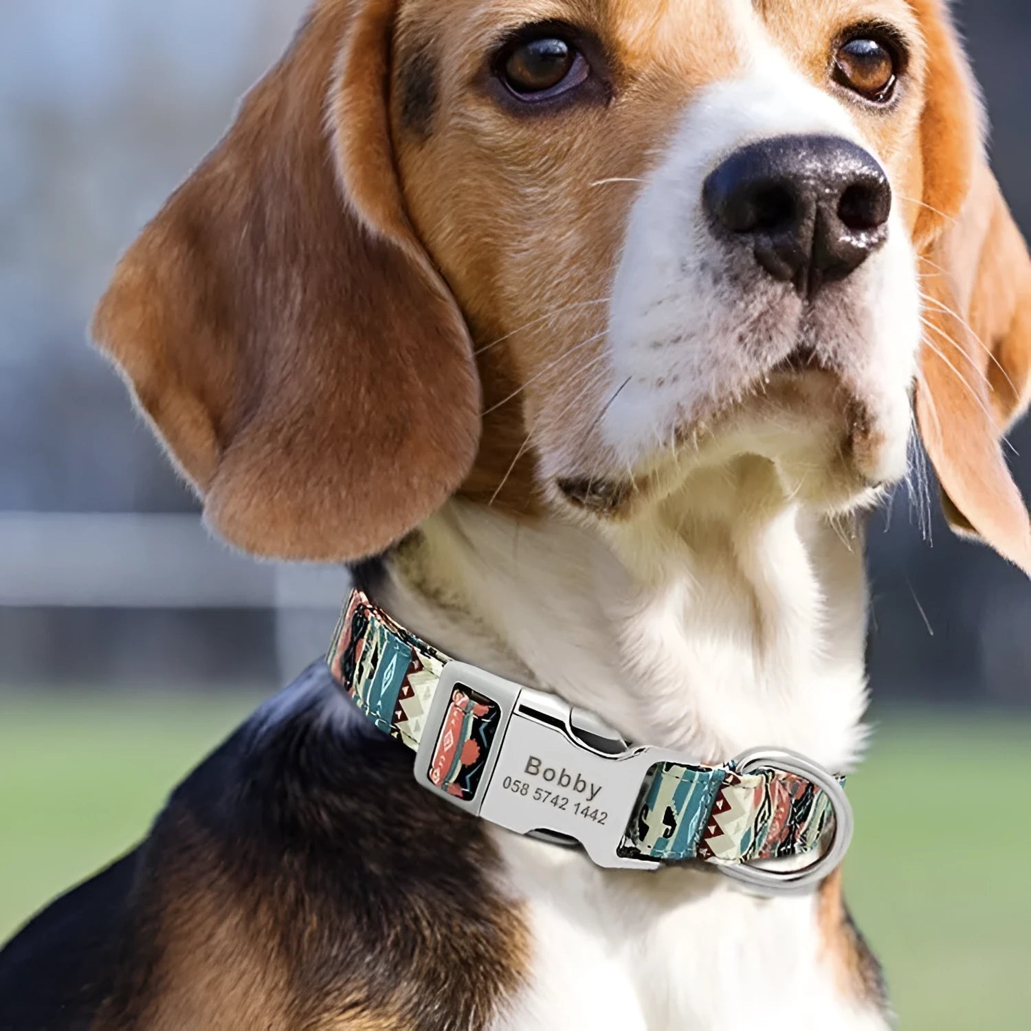 Striped canvas dog collar with adjustable semi-metal buckle in bohemian blue colour